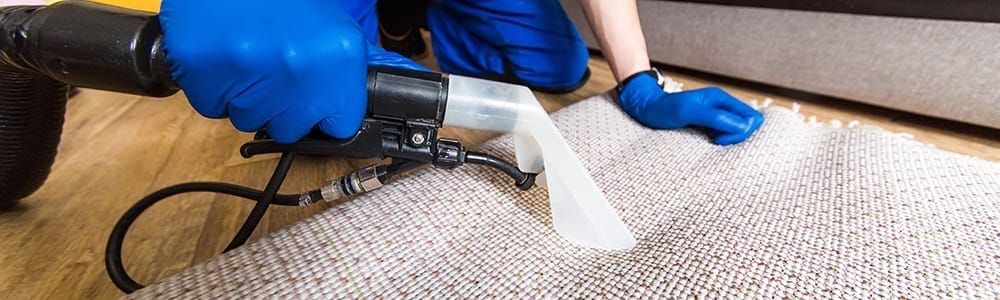 Dial Carpet Cleaning - Area Rug Cleaners