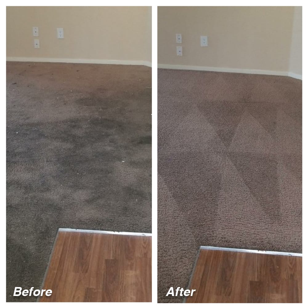 Dial Carpet Cleaning - Before and After - Living Room Carpet