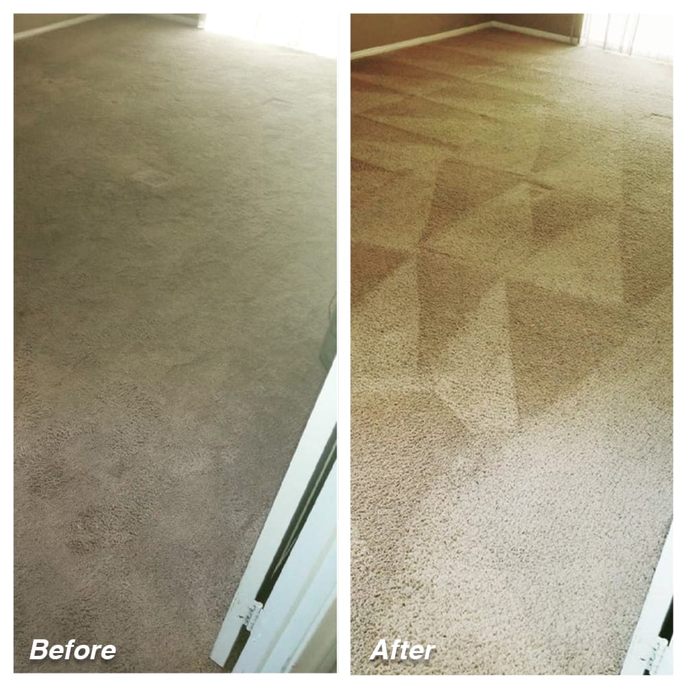 Dial Carpet Cleaning - Before and After - Living Room