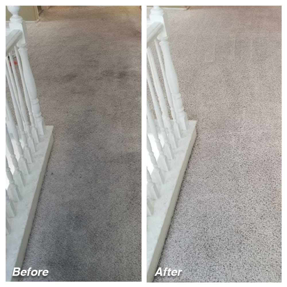 Dial Carpet Cleaning - Before and After - Stain Removal