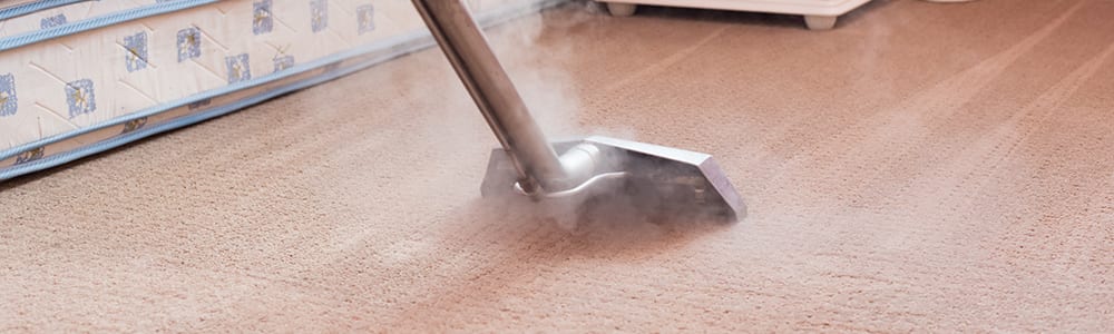 Dial Carpet Cleaning - Residential Carpet Cleaners