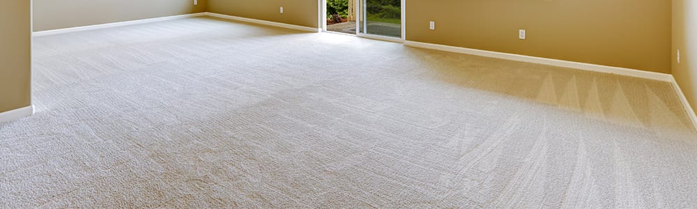 Dial Carpet Cleaning - Residential Carpet Cleaning