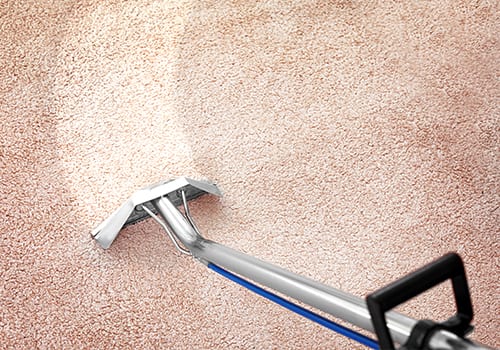 Dial Carpet Cleaning - Residential Carpet Steam Cleaner