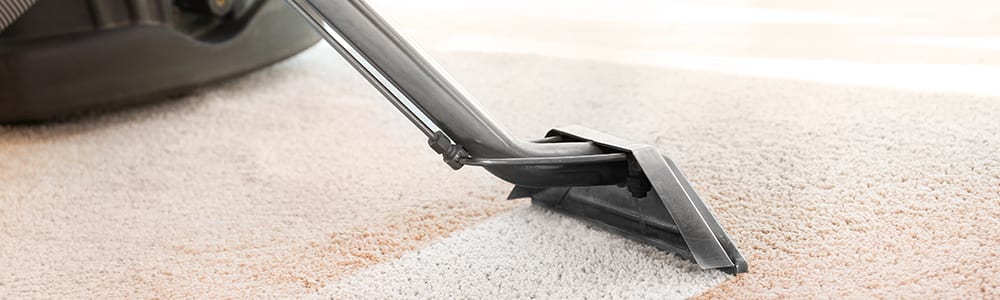 Dial Carpet Cleaning - Rug Cleaning